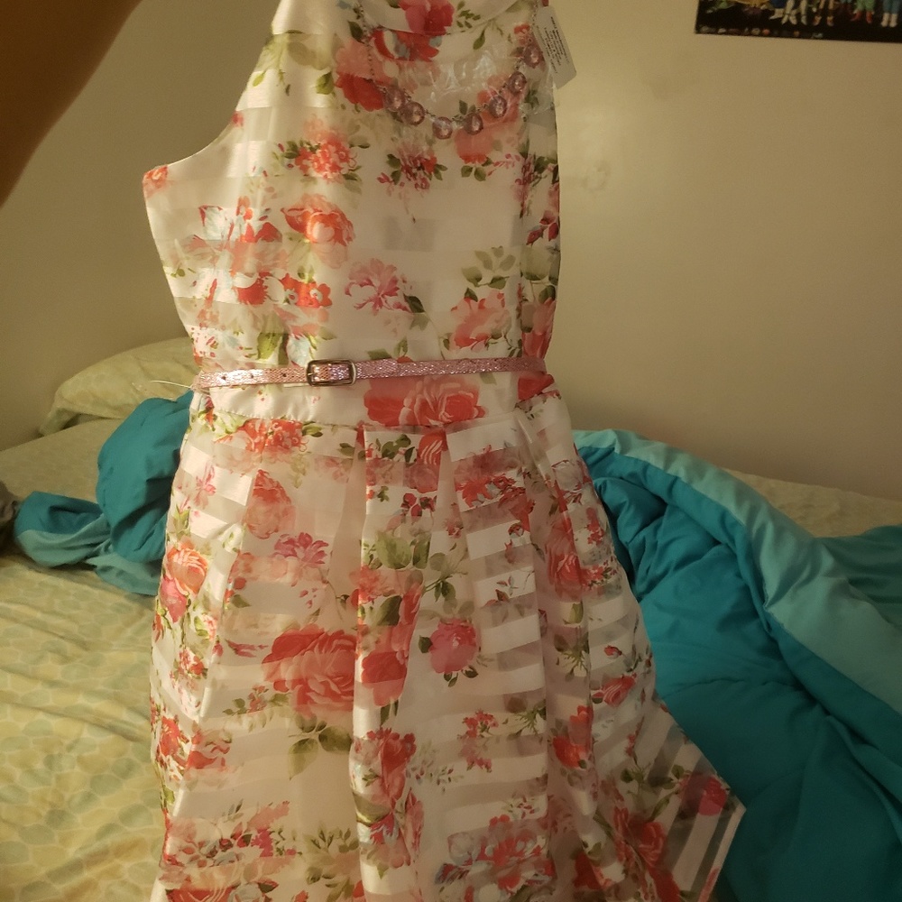 New